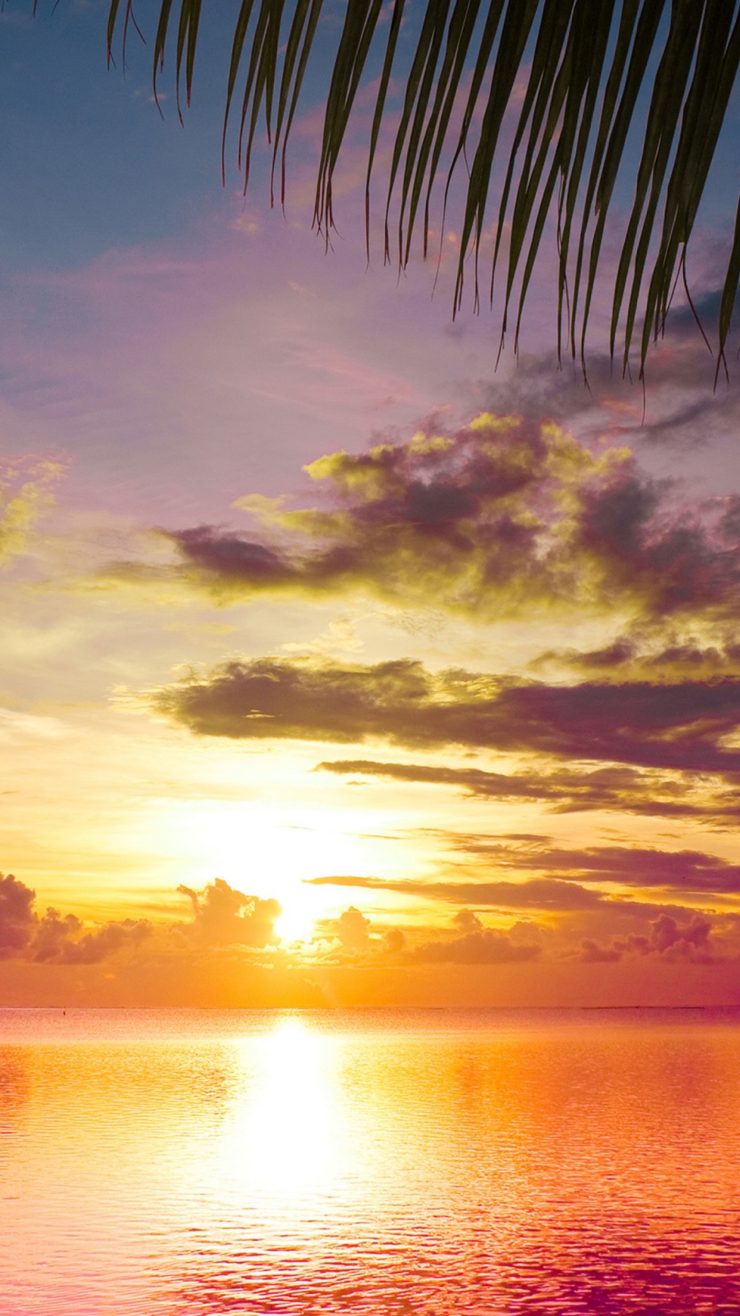 Sfondi Sunset Between Palm Trees 1080x1920