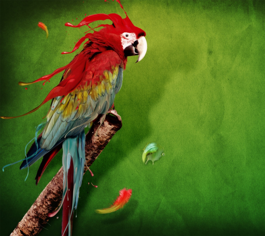 Sfondi Splash Of Parrot 1080x960