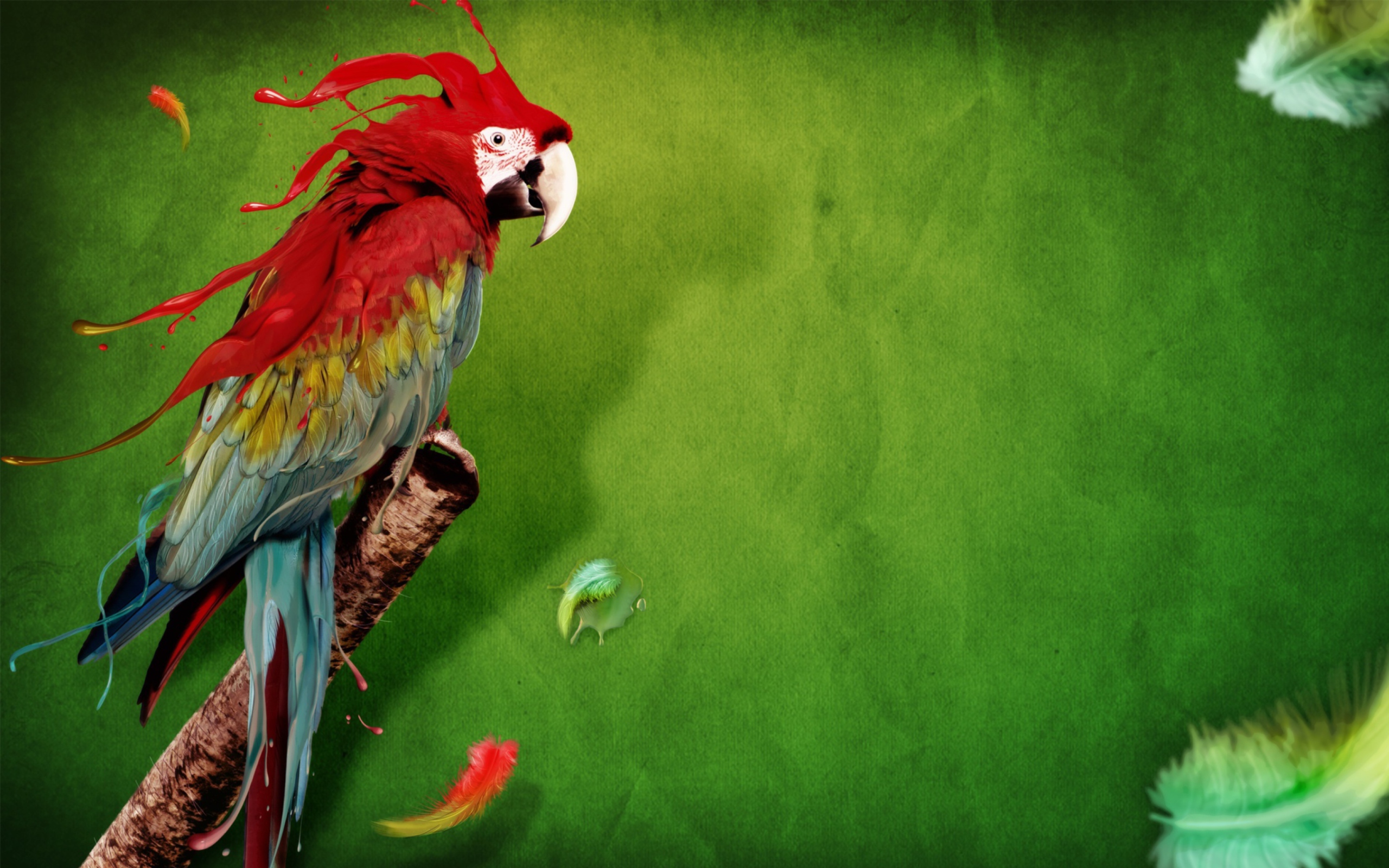 Screenshot №1 pro téma Splash Of Parrot 2560x1600