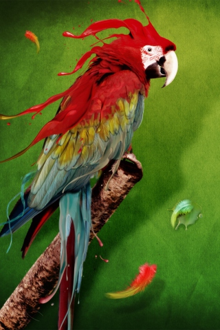 Fondo de pantalla Splash Of Parrot 320x480