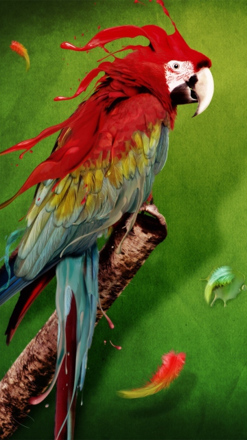 Das Splash Of Parrot Wallpaper 360x640