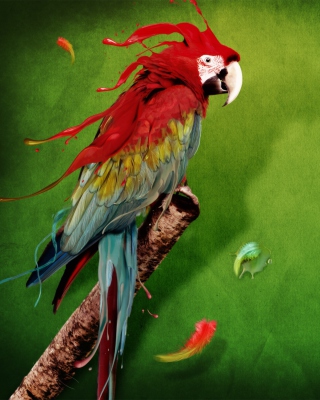 Splash Of Parrot - Obrázkek zdarma pro Nokia X7