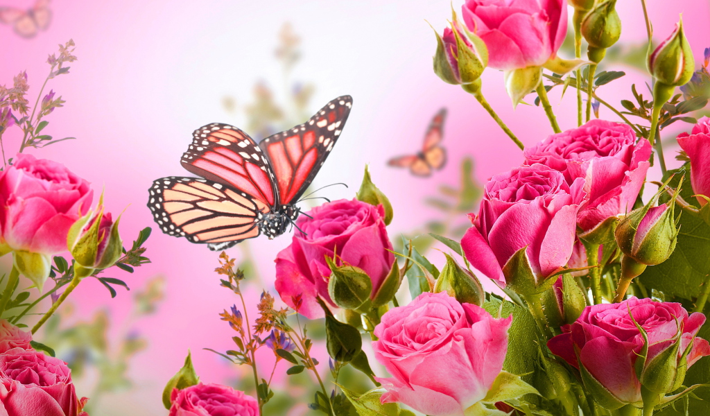 Sfondi Rose Butterfly 1024x600