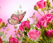 Sfondi Rose Butterfly 176x144