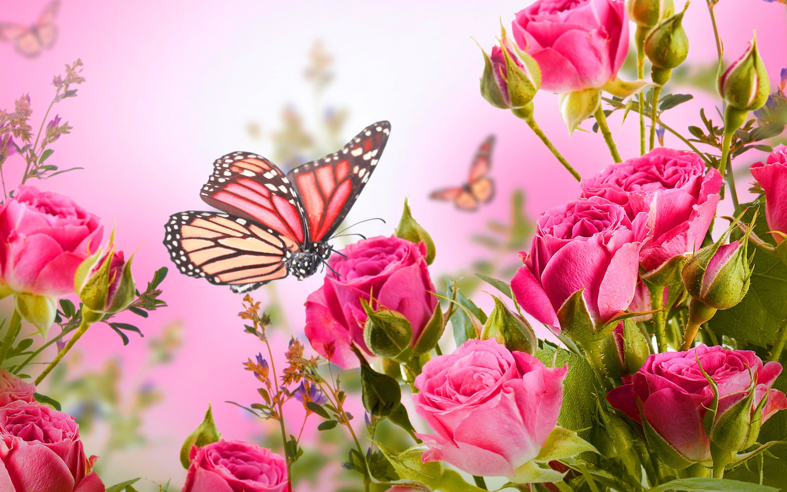 Rose Butterfly screenshot #1 2560x1600