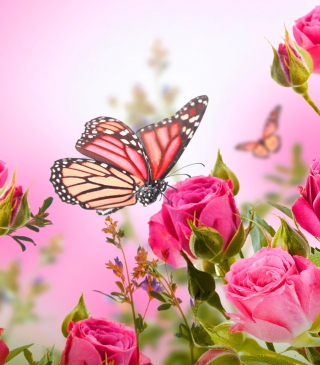 Kostenloses Rose Butterfly Wallpaper für Nokia Asha 300