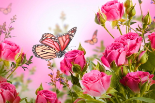 Rose Butterfly Background for Android, iPhone and iPad