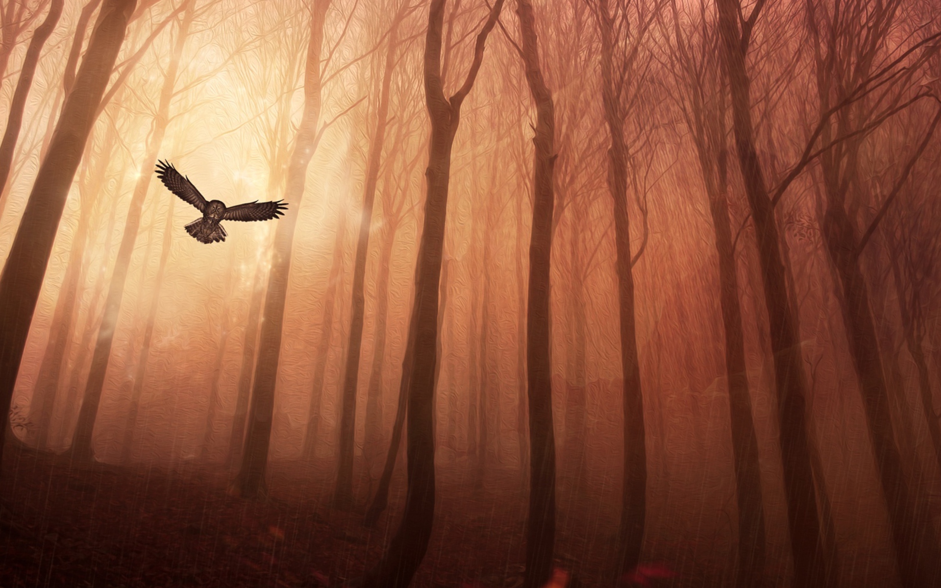 Screenshot №1 pro téma Dark Owl In Dark Forest 1920x1200