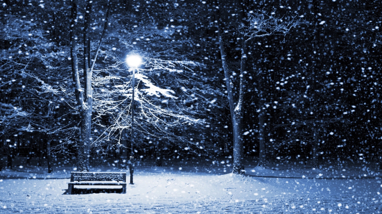Bench In Snowy Park screenshot #1 1280x720