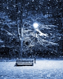 Fondo de pantalla Bench In Snowy Park 128x160