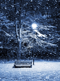 Bench In Snowy Park screenshot #1 240x320