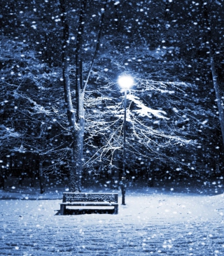 Bench In Snowy Park - Obrázkek zdarma pro iPhone 4S