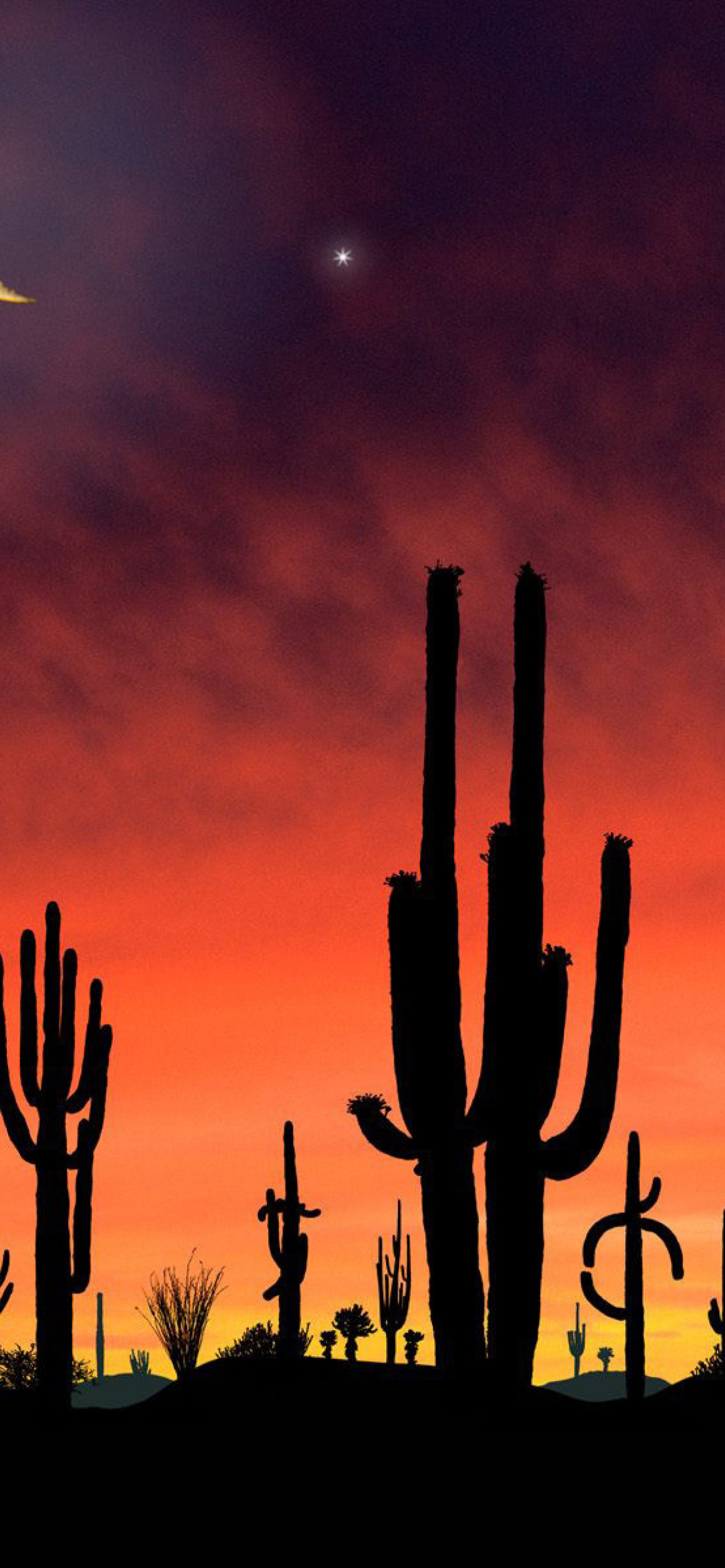 Screenshot №1 pro téma Saguaro National Park in Arizona 1170x2532