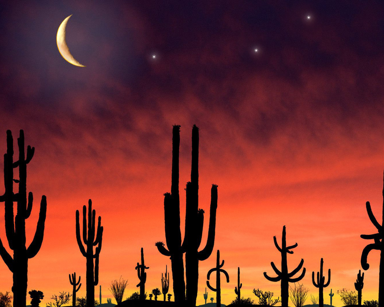 Screenshot №1 pro téma Saguaro National Park in Arizona 1280x1024