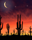 Screenshot №1 pro téma Saguaro National Park in Arizona 128x160