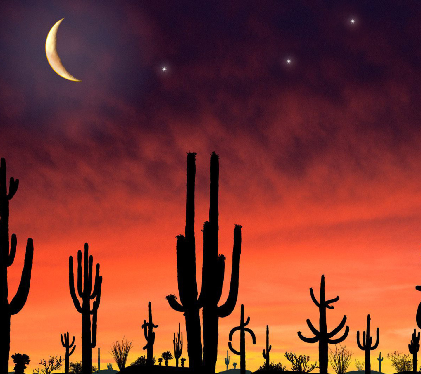 Screenshot №1 pro téma Saguaro National Park in Arizona 1440x1280