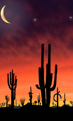 Screenshot №1 pro téma Saguaro National Park in Arizona 240x400