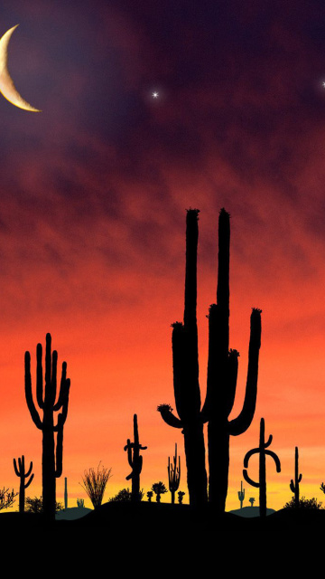 Das Saguaro National Park in Arizona Wallpaper 360x640