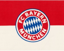 Fc Bayern Munchen wallpaper 220x176