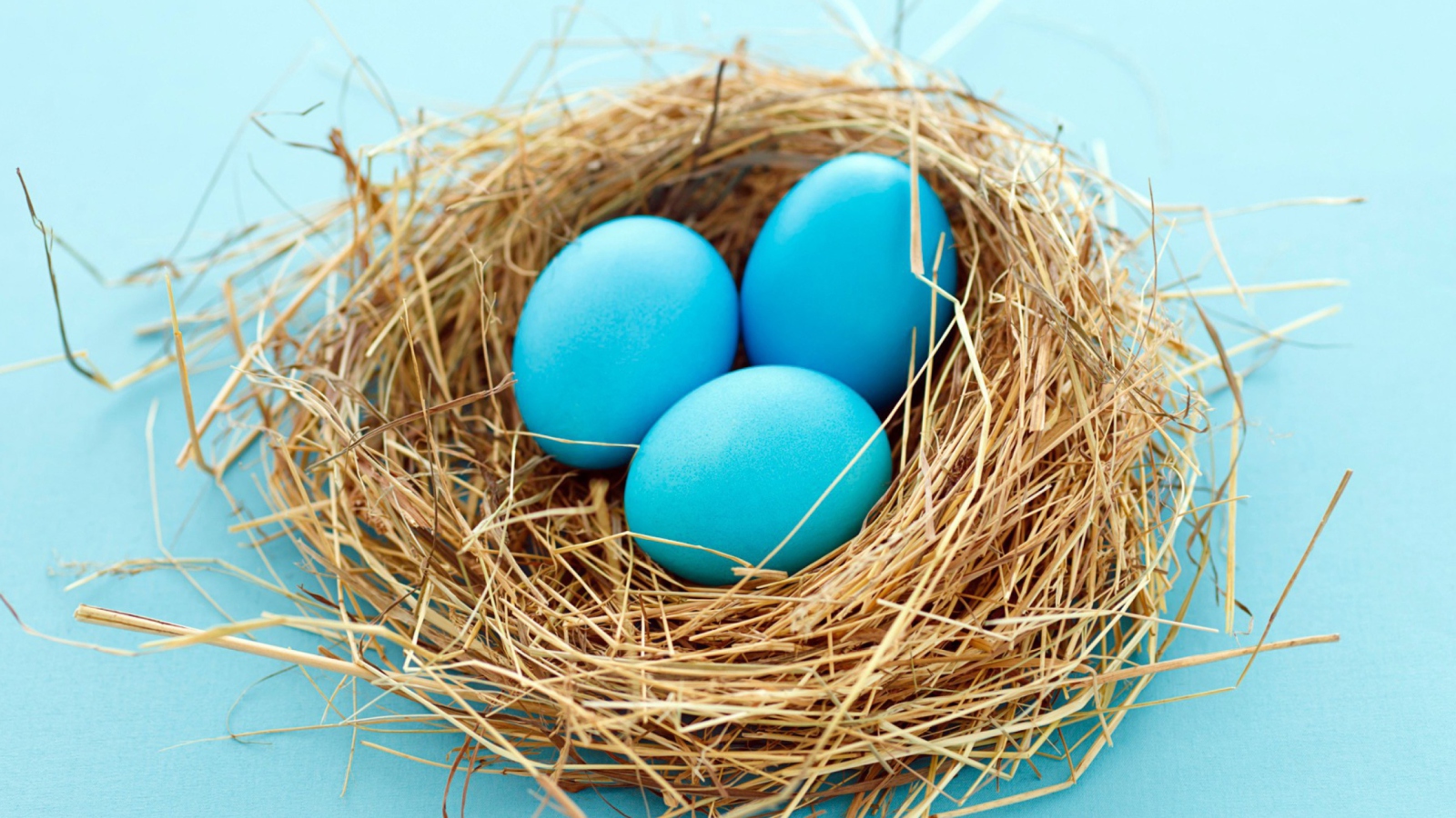 Sfondi Blue Easter Eggs 1600x900