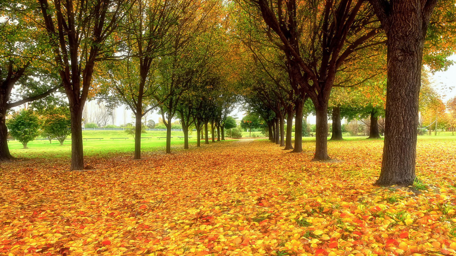 Das Autumn quiet park Wallpaper 1600x900