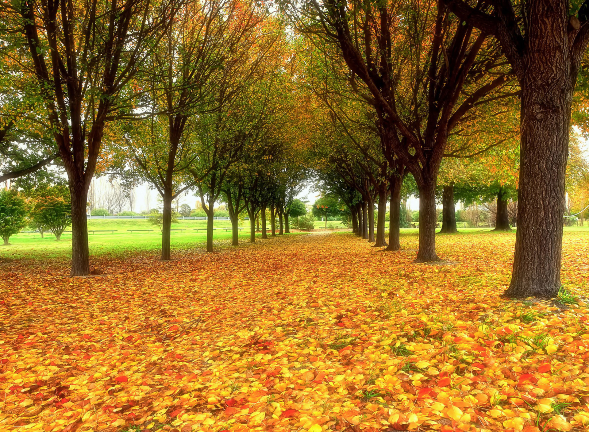 Autumn quiet park screenshot #1 1920x1408