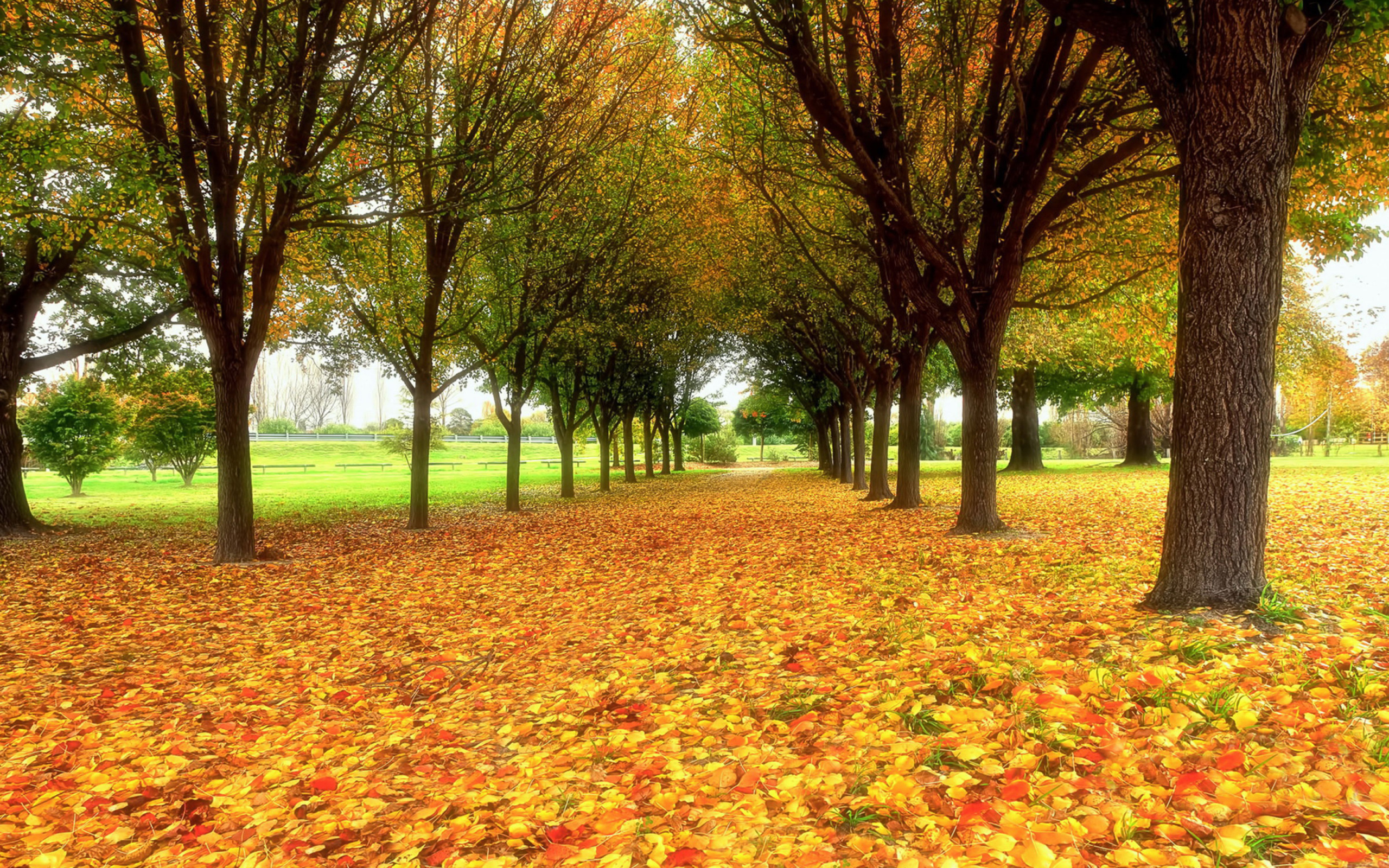 Autumn quiet park screenshot #1 2560x1600