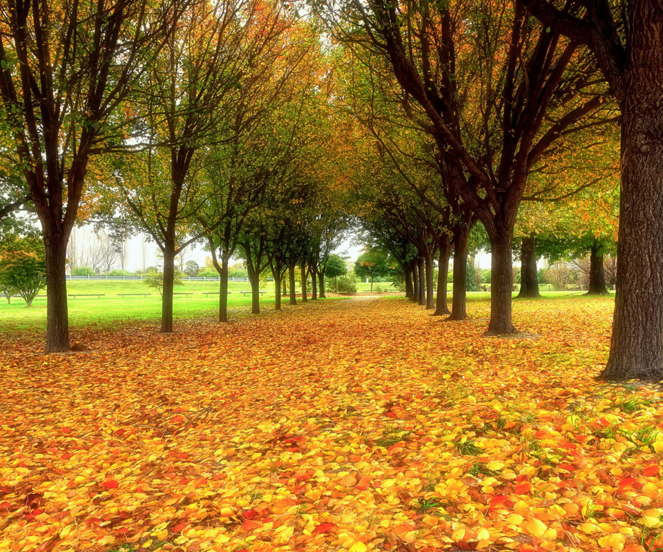 Das Autumn quiet park Wallpaper 960x800