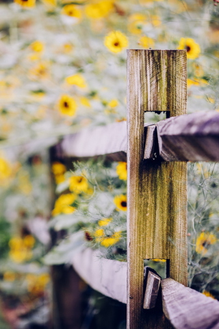 Fondo de pantalla Yellow Flowers Behind Fence 320x480