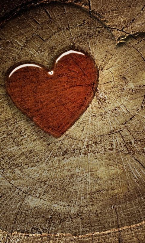 Wooden Heart screenshot #1 480x800