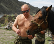 Screenshot №1 pro téma Vladimir Putin Best President 176x144