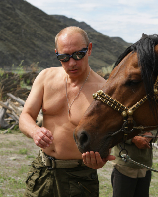 Vladimir Putin Best President papel de parede para celular para Nokia C5-06