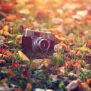 Fondo de pantalla Old Camera On Green Grass And Autumn Leaves 128x128