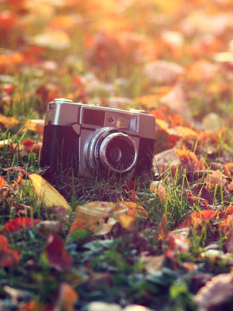 Screenshot №1 pro téma Old Camera On Green Grass And Autumn Leaves 480x640