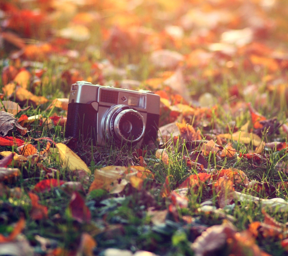 Old Camera On Green Grass And Autumn Leaves wallpaper 960x854