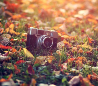 Old Camera On Green Grass And Autumn Leaves papel de parede para celular para iPad