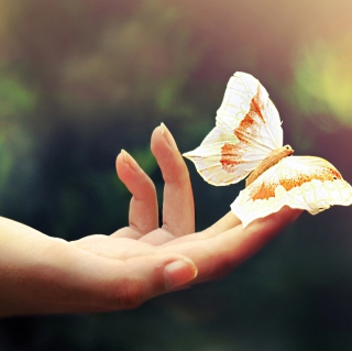 Butterfly In Her Hands - Obrázkek zdarma pro iPad mini