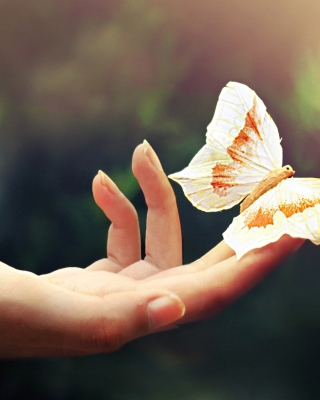 Butterfly In Her Hands - Obrázkek zdarma pro 640x960