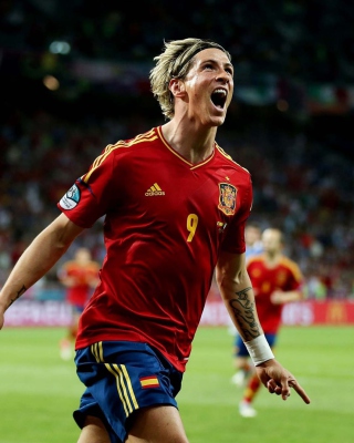 Fernando Torres - Obrázkek zdarma pro 176x220