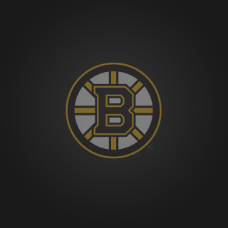 Boston Bruins - Obrázkek zdarma pro iPad mini 2