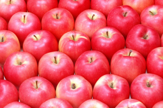 Apples - Obrázkek zdarma pro 220x176