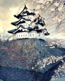 Screenshot №1 pro téma Hirosaki Castle Japan 128x160