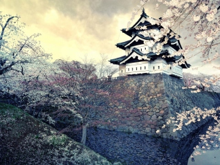Screenshot №1 pro téma Hirosaki Castle Japan 320x240