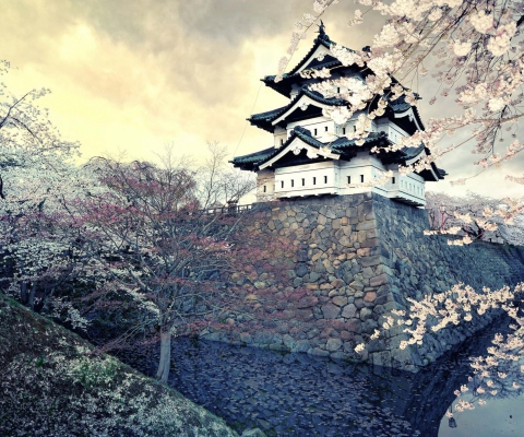 Hirosaki Castle Japan wallpaper 480x400