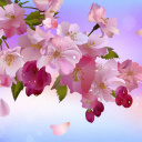 Painting apple tree in bloom wallpaper 128x128