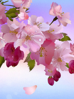 Painting apple tree in bloom wallpaper 240x320