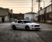 Ford Mustang GT 643 screenshot #1 176x144