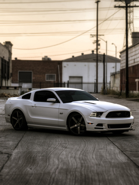 Обои Ford Mustang GT 643 480x640