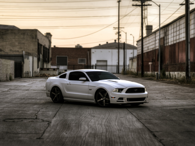Обои Ford Mustang GT 643 640x480