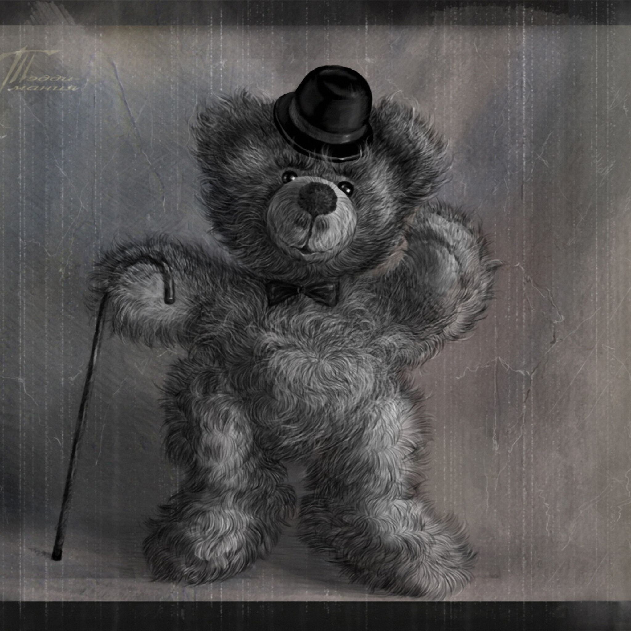 Fondo de pantalla Teddy Bear Gentleman 2048x2048